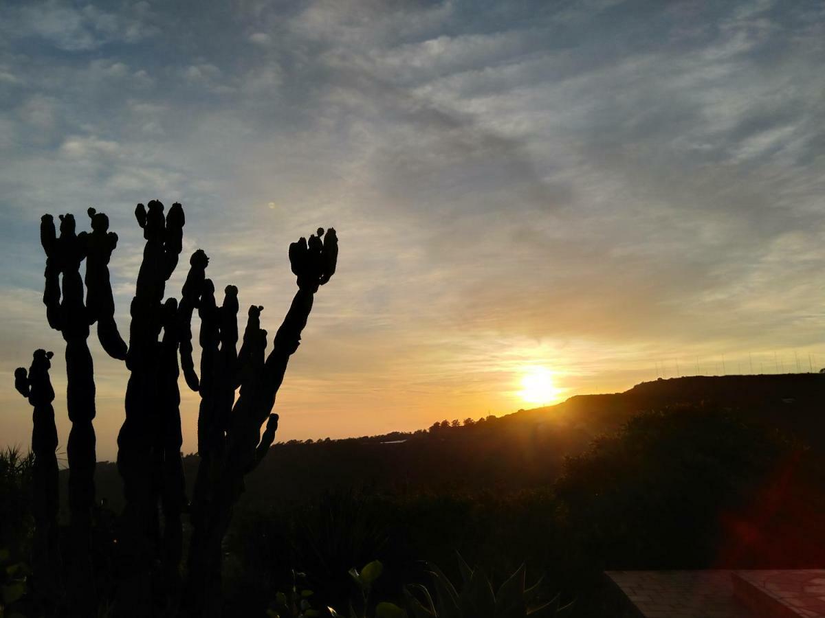 *****Finca Bella Vista Арукас Екстериор снимка